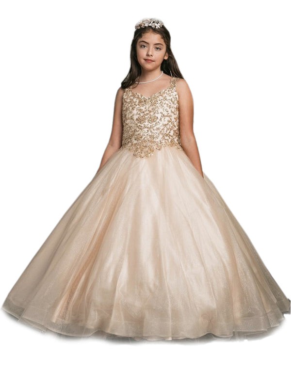 Petite Adele Little Girls Gold Embroidered Bodice Glitter Tulle Gown 2-6 - SophiasStyle.com
